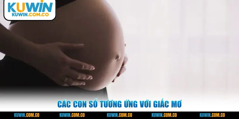 Các con số tương ứng với giấc mơ