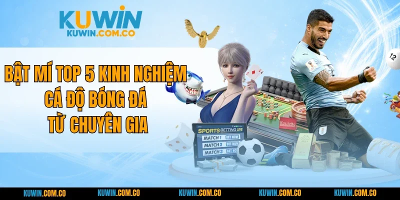 Bật Mí Top 5 Kinh Nghiệm Cá Độ Bóng Đá Từ Chuyên Gia