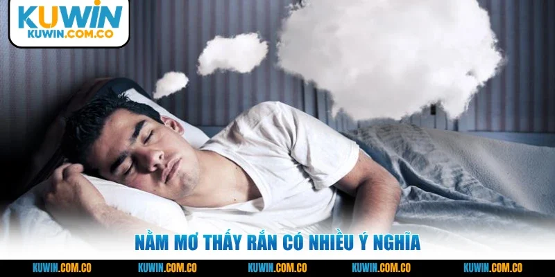 Nằm mơ thấy rắn có nhiều ý nghĩa