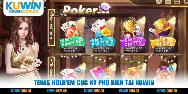 Texas Hold'em cực kỳ phổ biến tại KUWIN